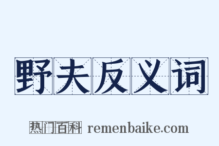 野夫反义词是什么意思的图片